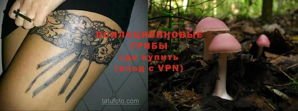 соль курить ск Покачи