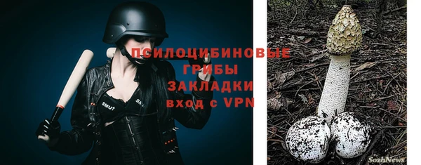 гидра Покровск
