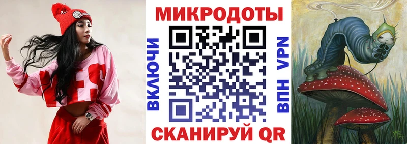 площадка как зайти  Суздаль  Галлюциногенные грибы GOLDEN TEACHER  где можно купить наркотик 