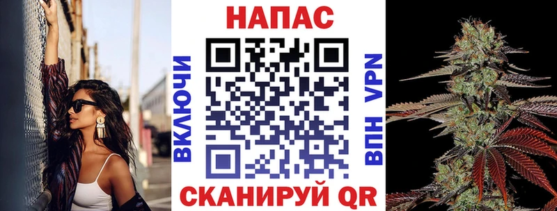 Конопля сатива Суздаль